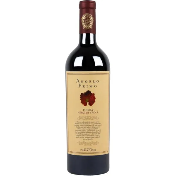 angelo primo nero di troia